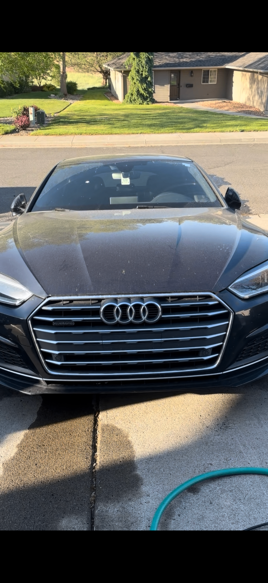 Audi A5 before detail showing dirt and water spots
